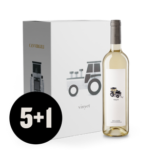 Caixa de 6 Vinyet Blanc