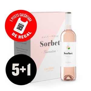 Caixa de 6 de Sorbet